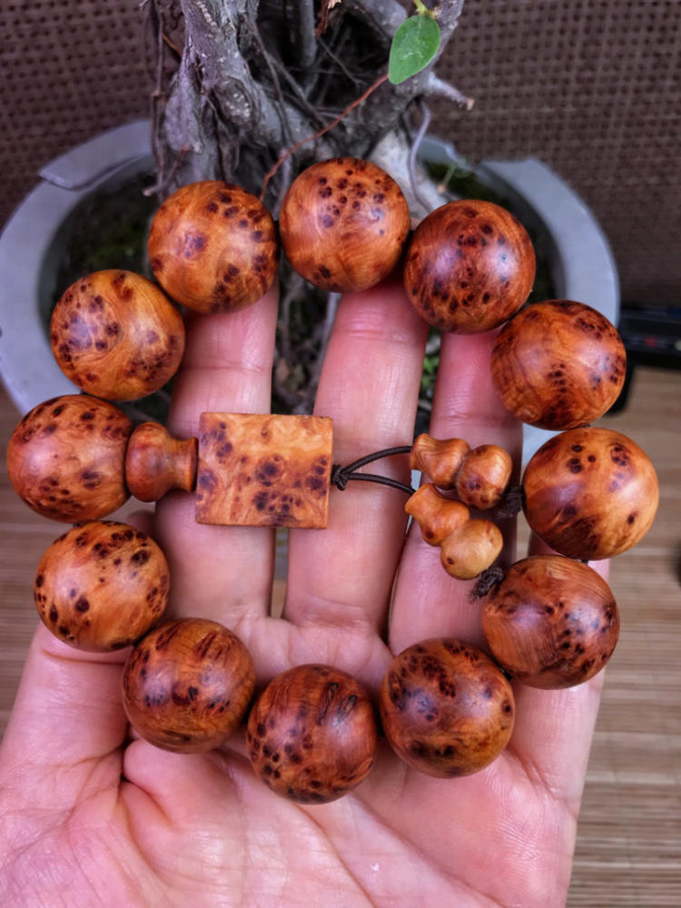 厉不厉害？暴力鸟进球=C罗2倍【beat365官网中文】(图2)