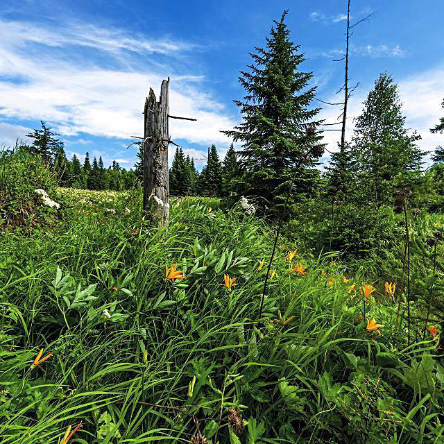 ‘beat365官网中文’皇马11天三公告揭示C罗真正替身？阿扎尔或引发新帅中场革命(图3)