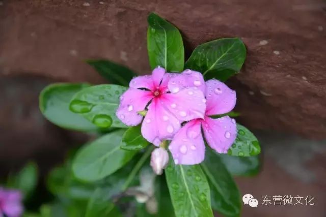 3球完胜 皇马及时止颓“BEAT365”(图2)